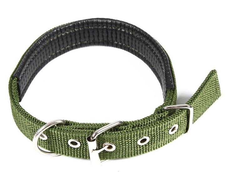 Basic Padded Nylon Pet Collars Solid Color Small Medium Large Dog Puppy