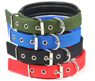 Basic Padded Nylon Pet Collars Solid Color Small Medium Large Dog Puppy