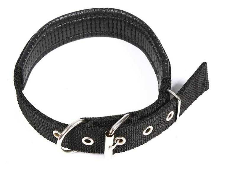 Basic Padded Nylon Pet Collars Solid Color Small Medium Large Dog Puppy