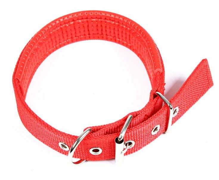 Basic Padded Nylon Pet Collars Solid Color Small Medium Large Dog Puppy