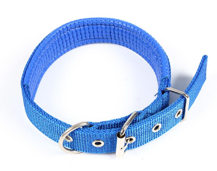 Basic Padded Nylon Pet Collars Solid Color Small Medium Large Dog Puppy