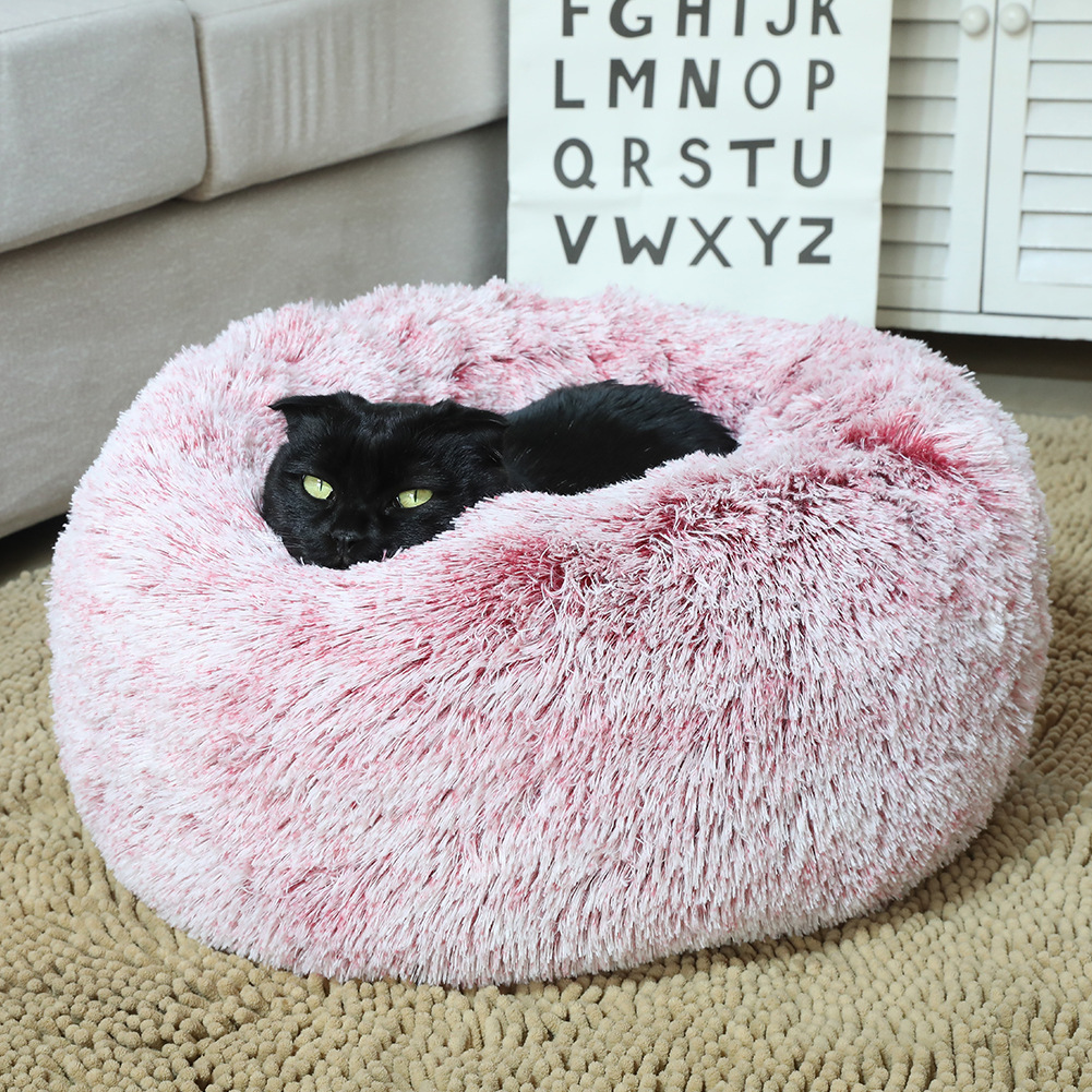 Beds Accessories Elevated Dog Cot Folding Dogs Cats Outdoor Indoor Camping Raised Cat Litter Mat Scratching Pet Bed