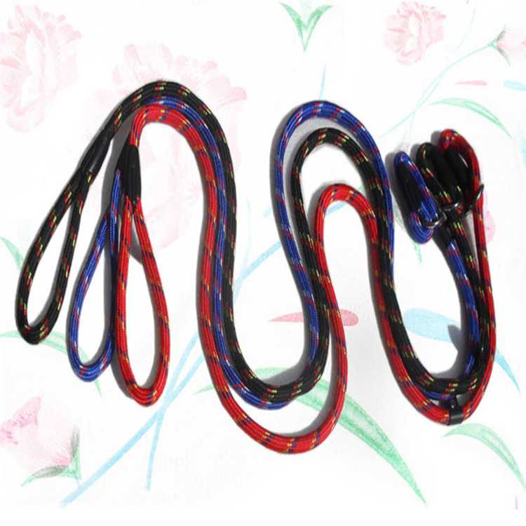 Best Pet Leash Nylon PShaped Dog Leash