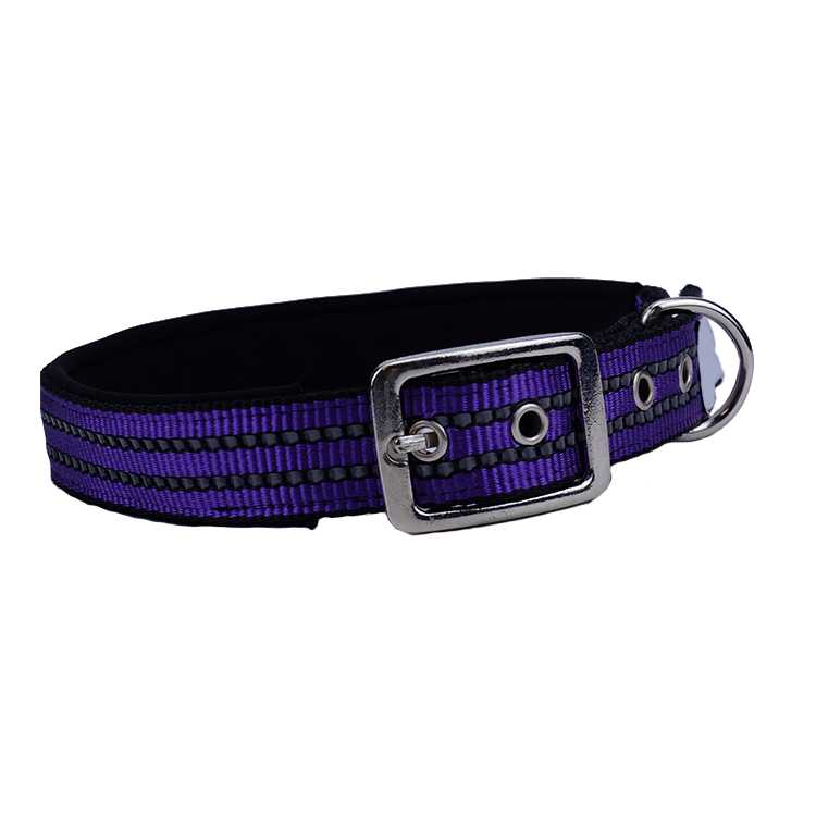 Best Sale Dog Collar Nylon Pet Leash Collars