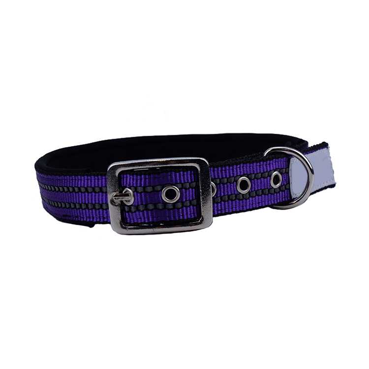 Best Sale Dog Collar Nylon Pet Leash Collars