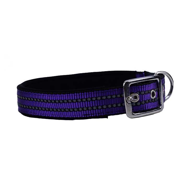 Best Sale Dog Collar Nylon Pet Leash Collars