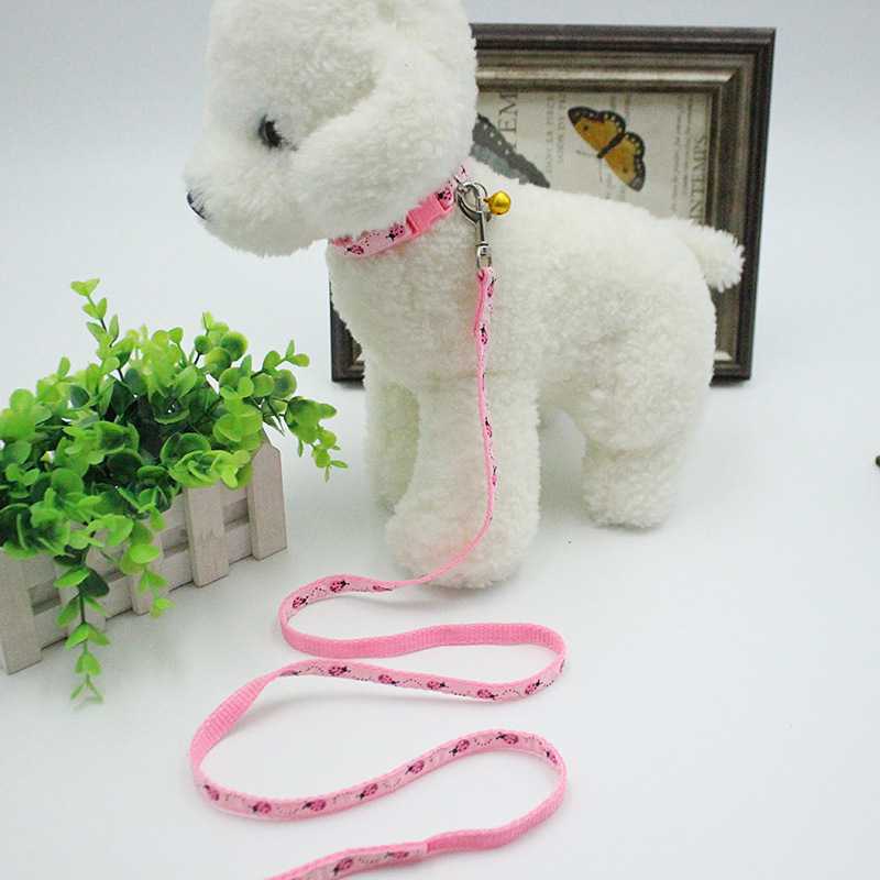 Best Seller Print Nylon Small Pet Cat Dog Leash Collar