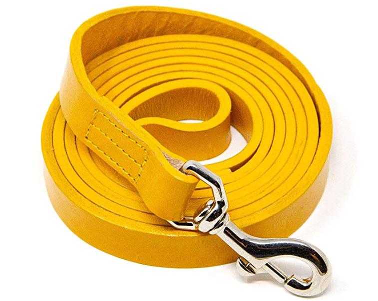 Best Top Dog Products Pet Dog Leash