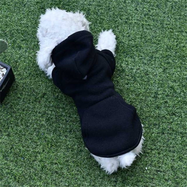 Blank Dog Cat Sweater Puppy Pet Fleece Training Dog Hoodie