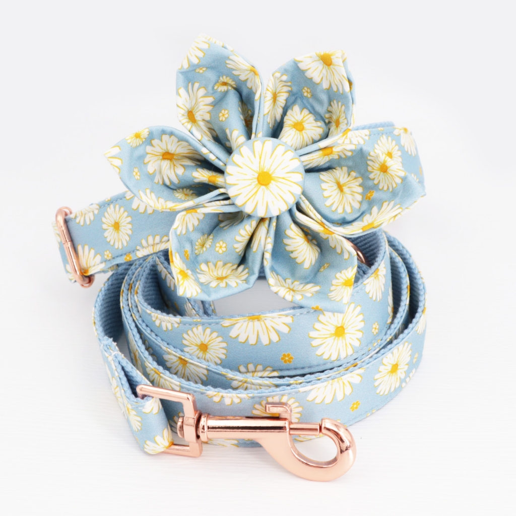 Blue Daisy Dog Collar Personalized Engraved Dog Collar With All Metal Buckle