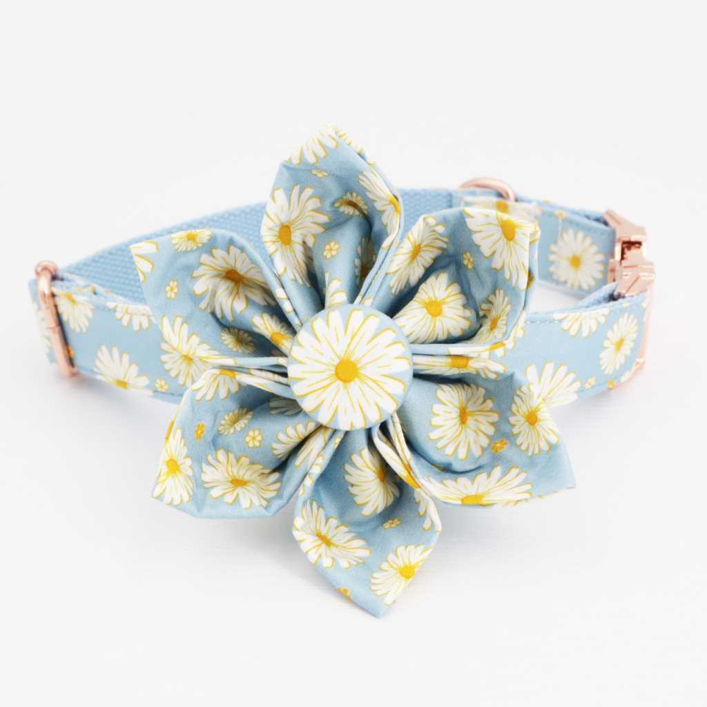 Blue Daisy Dog Collar Personalized Engraved Dog Collar With All Metal Buckle