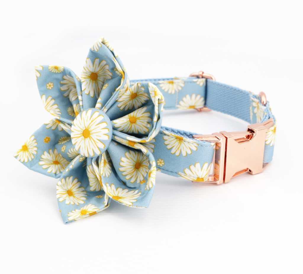 Blue Daisy Dog Collar Personalized Engraved Dog Collar With All Metal Buckle