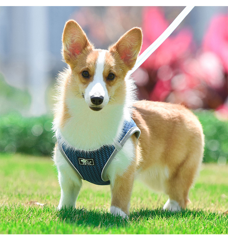 Breathable Reflective Safety Dog Pet Harness Custom Reversible Pet Harness Vest Plus Leashes Set
