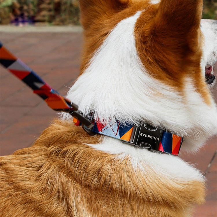 Cat Dog Collar Collar Engraving Antilost Tag Bells Adjustable Pet Collar