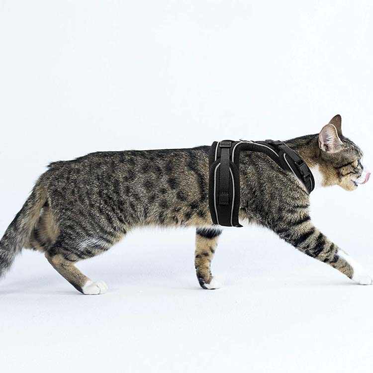 Cat Harness Escape Proof Kitten Mesh Vest Adjustable Reflective Comfortable Soft Cat Chest Harness