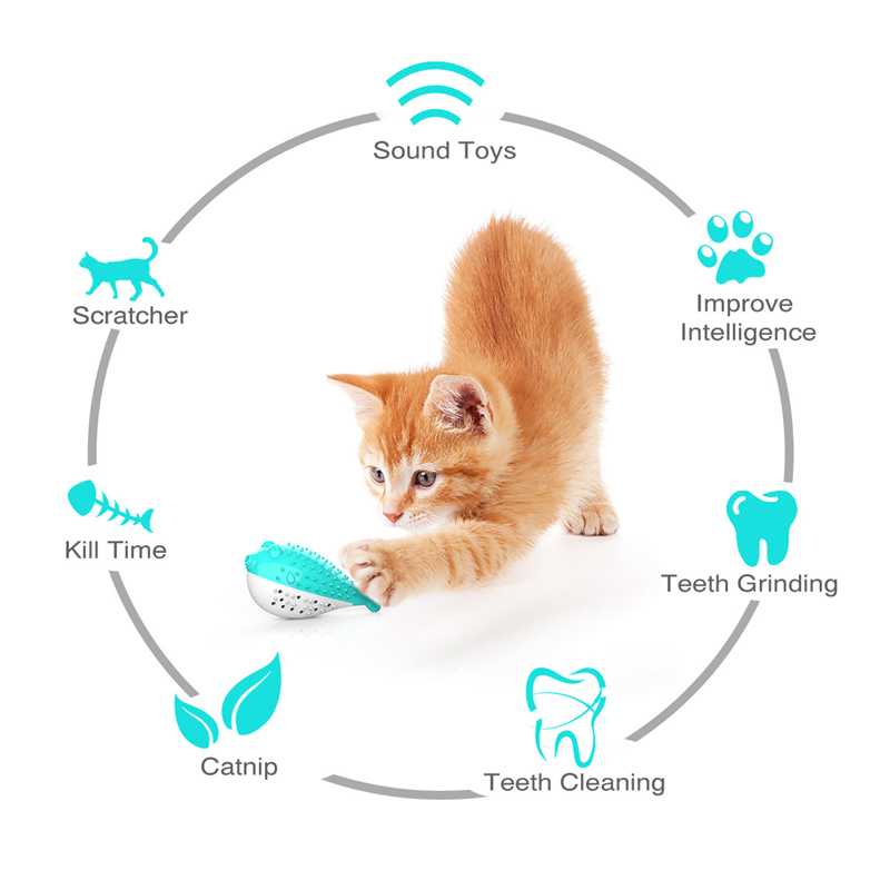 Cat Toothbrush Catnip Toys Motion Kitten Interactive Cat Toy