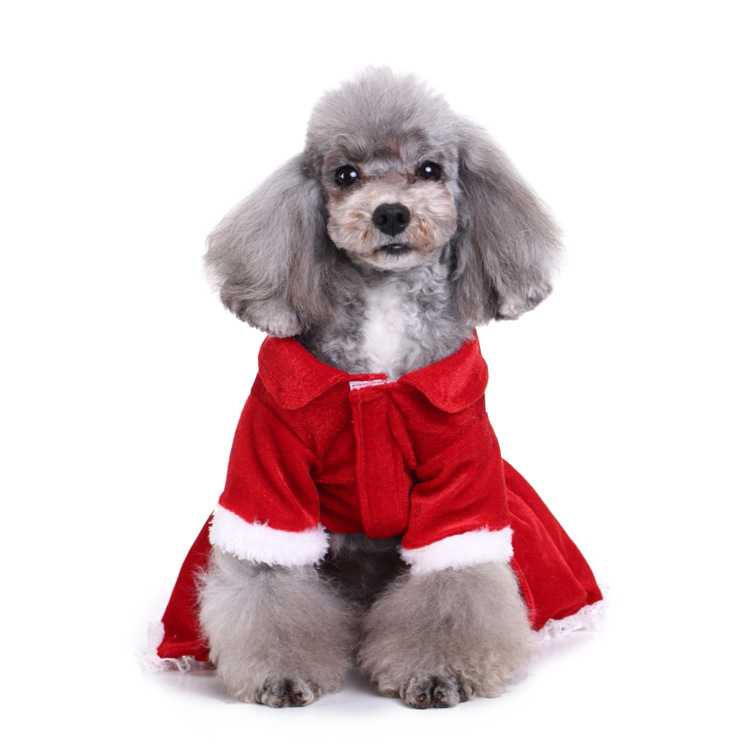 Chinese Manufacturer Warm Soft Polyester Winter Dog Clothes Red Holiday Christmas Cute Pet Dog Dress Clothes