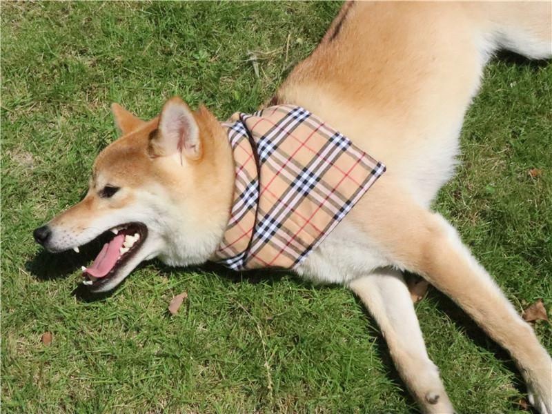 Christmas Collar Scarf Dog Bandanas Custom Pet Triangle Plaid Pet Apparel Accessories Small Animals Cotton Opp Bag