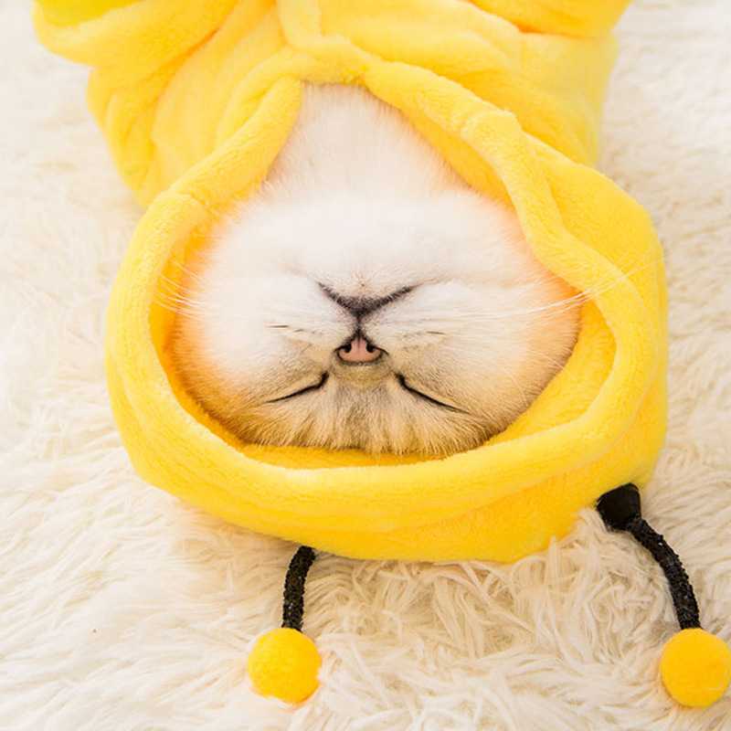 Christmas Dress Up Cat Winter Dress Warm Cat Halloween Funny Pet Costume