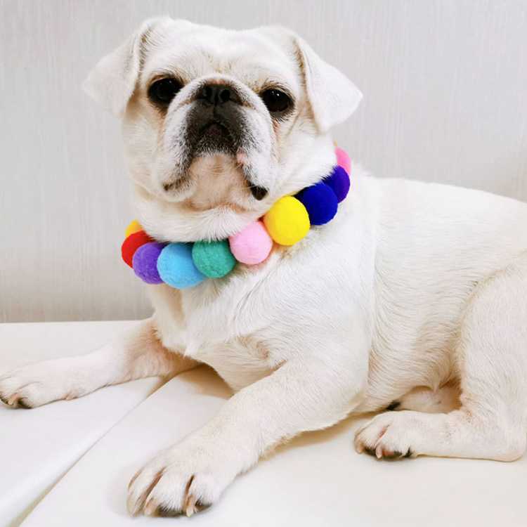 Color Elastic Bulb Different Cat Collar Cute With Small Bell Big Ball Shape Collar