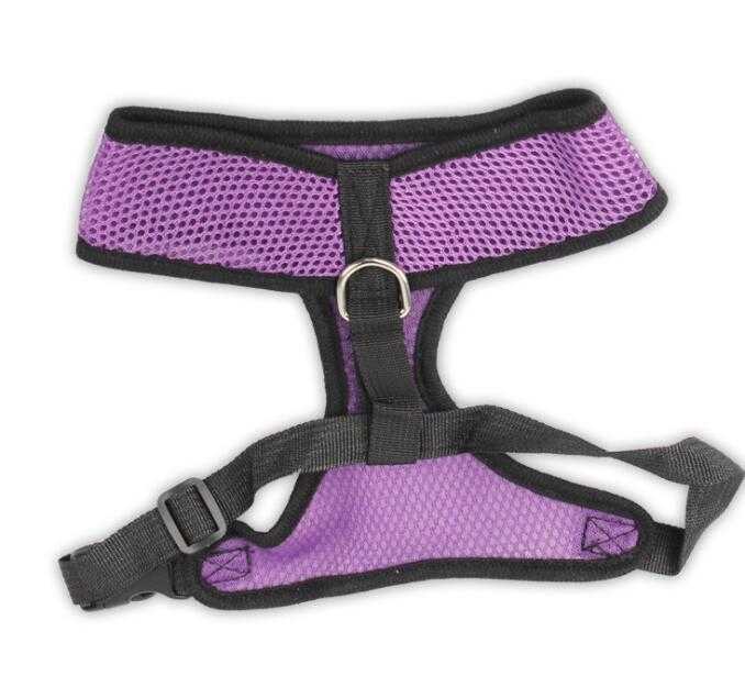 Colors Cat Harness Dog Summer Ventilate Lead Harness Set Cheaper Mesh Pet Dog Harness