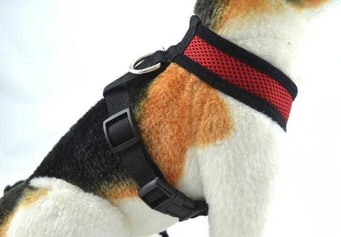 Colors Cat Harness Dog Summer Ventilate Lead Harness Set Cheaper Mesh Pet Dog Harness