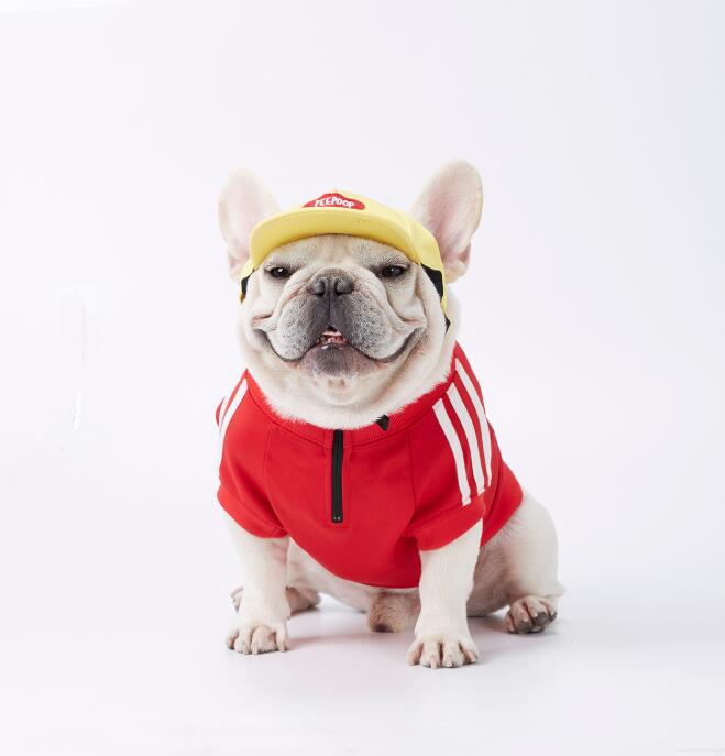 Corgi Schnauzer Fighting Pet Logo With Three Bars Dog Hoodie Winter Sports Dog Suit Clothing
