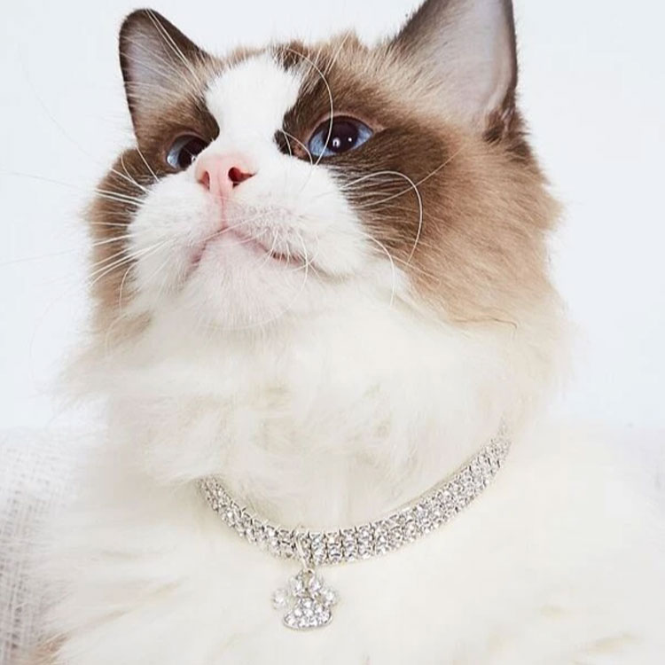 Crystal Collar Bling Rhinestone Personality Pet Decor Cat Necklace Collar