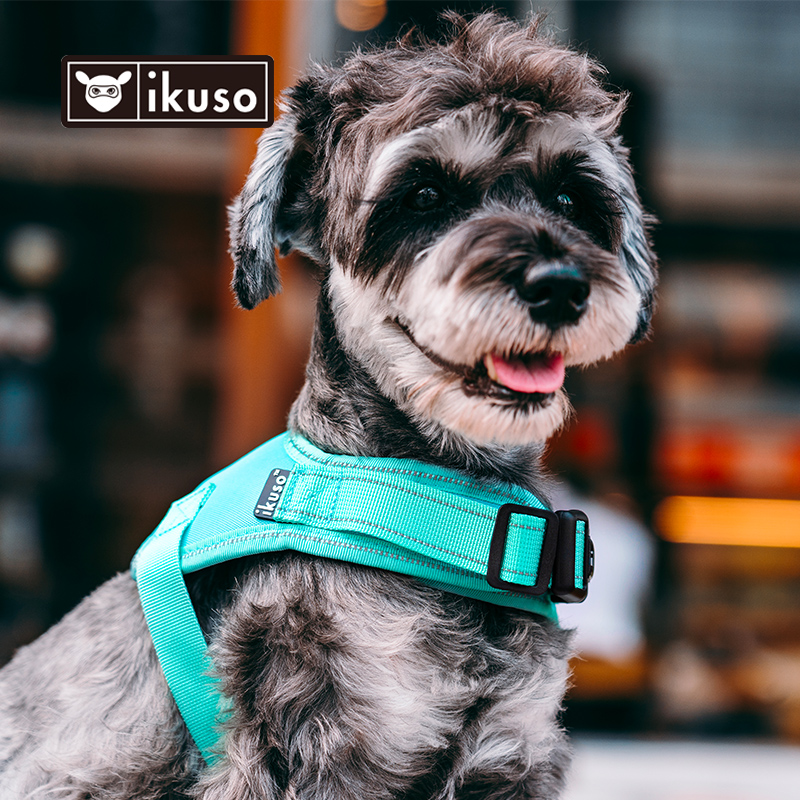 Custom Adjustable Pet Accessories Harness Leash Collar Mesh Strap Soft Chest Dog Cat Walking Harness