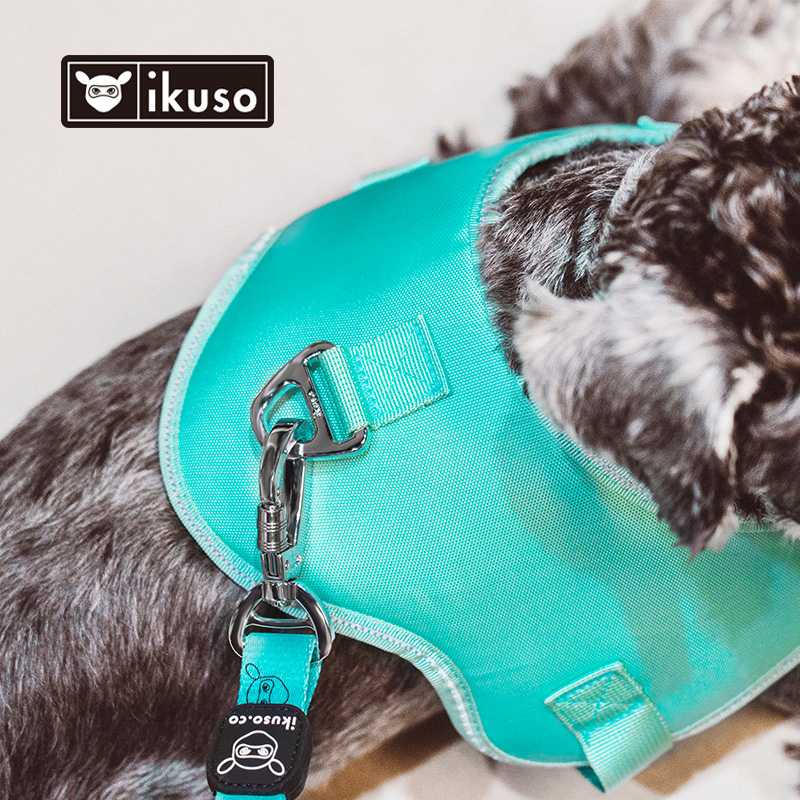 Custom Adjustable Pet Accessories Harness Leash Collar Mesh Strap Soft Chest Dog Cat Walking Harness