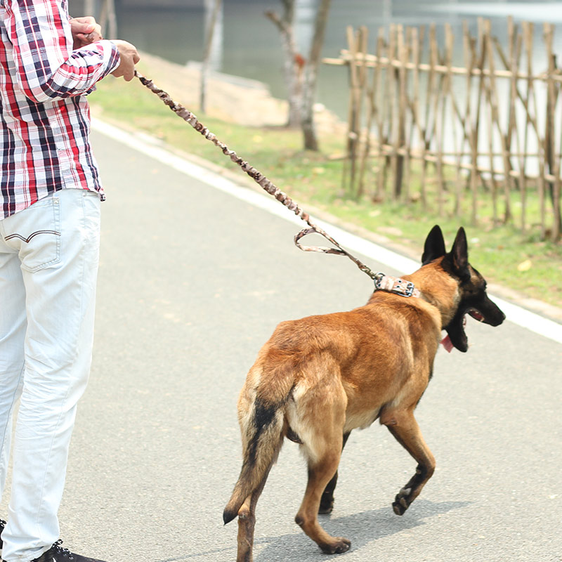 Custom Bungee Nylon Tactical Dog Rope Pet Dog Leash