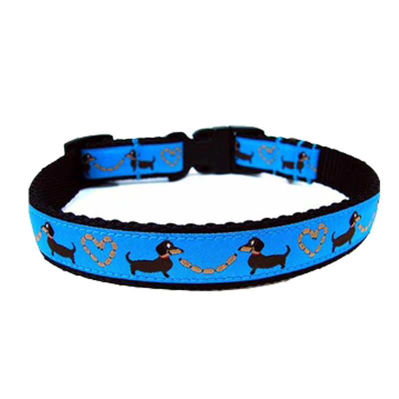 Custom Dog Collar Pet Accessories Ajustable Pet Collars Leashes Ecofriendly
