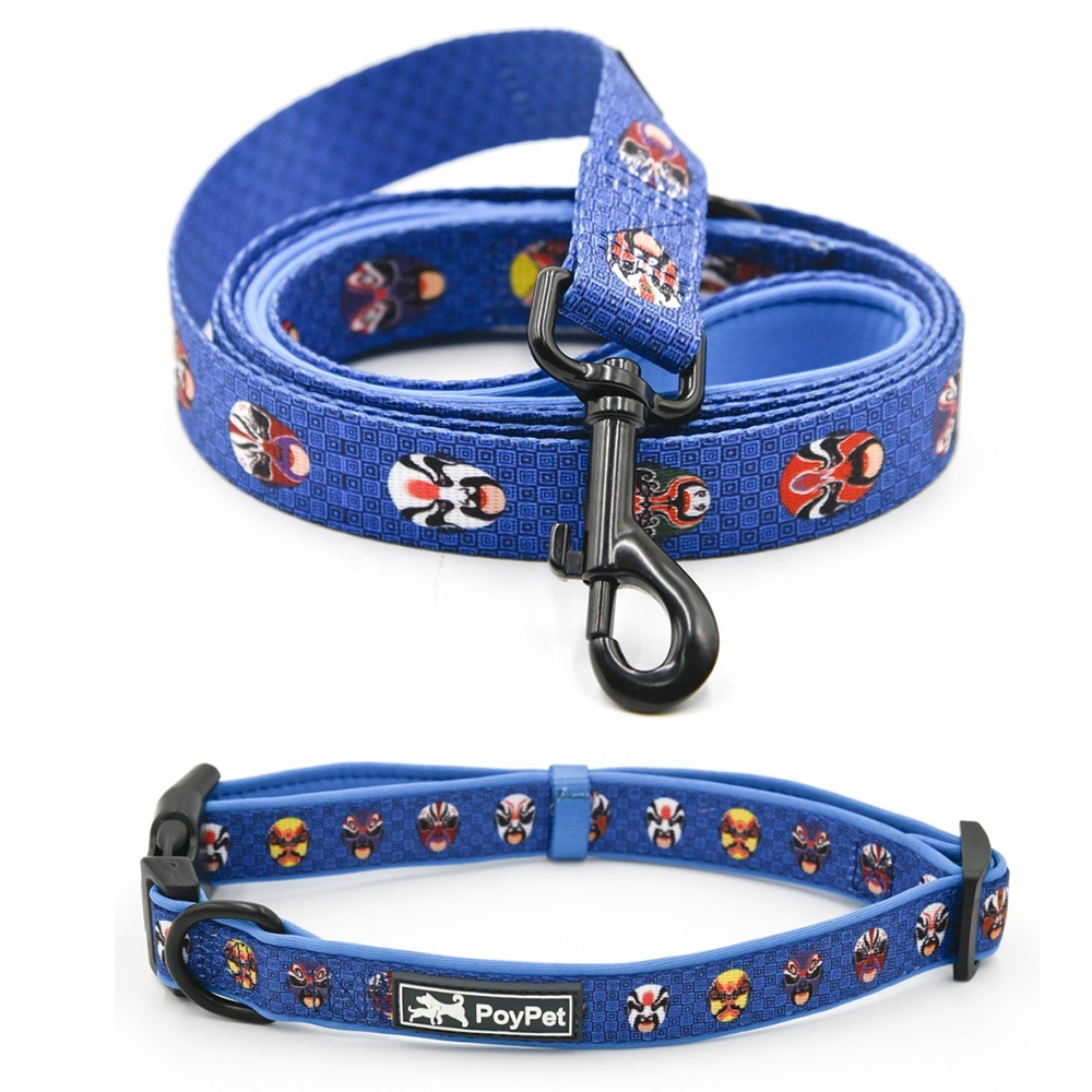 Custom Dog Lead Collar Pet Dog Leash Neoprene Dog Collar Set Pet Product Supplier