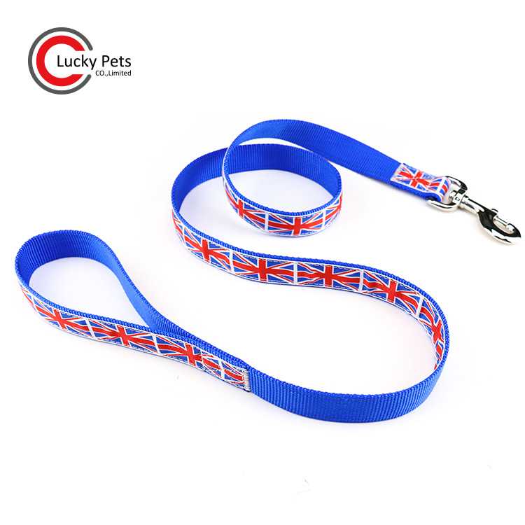 Custom Durable Nylon Material Ribbon Print Logo Dog Leash