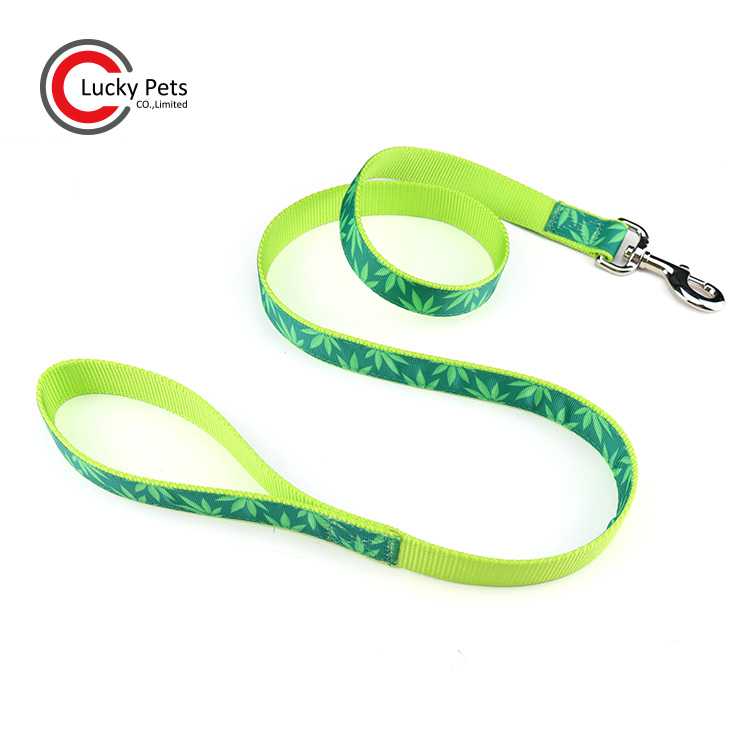 Custom Durable Nylon Material Ribbon Print Logo Dog Leash