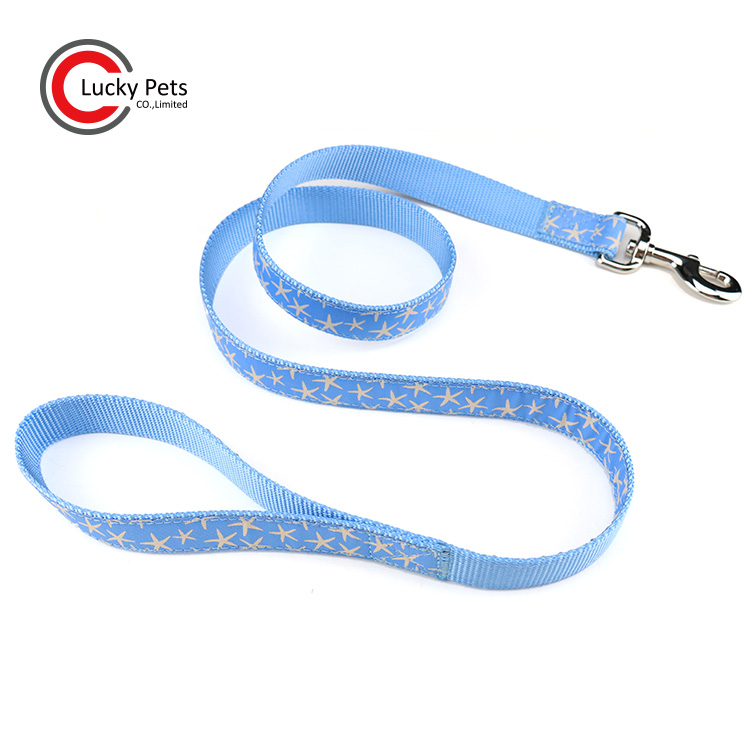 Custom Durable Nylon Material Ribbon Print Logo Dog Leash