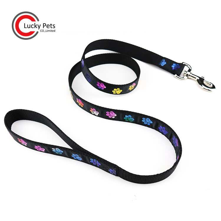 Custom Durable Nylon Material Ribbon Print Logo Dog Leash