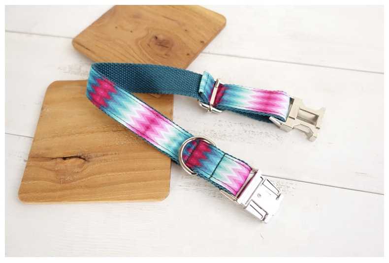 Custom Logo Bite Resistant Pet Collar Dog Collar With Metal Buckle