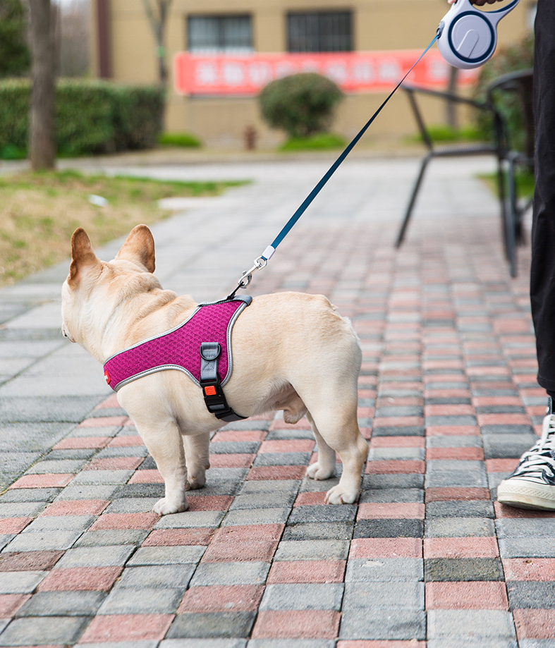 Custom Logo Pet Accessories Manufacture Supplier Dog Soft Padded Mesh Adjustable No Pull Durable Reflective Dog Harness