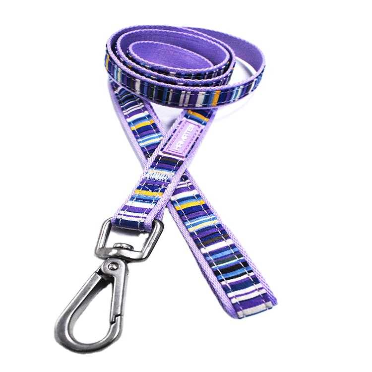 Custom Logo Polyester Comfort Dog Leash Suitable Small Medium Pets