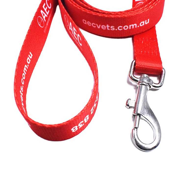 Custom Logo Polyester Comfort Dog Leash Suitable Small Medium Pets