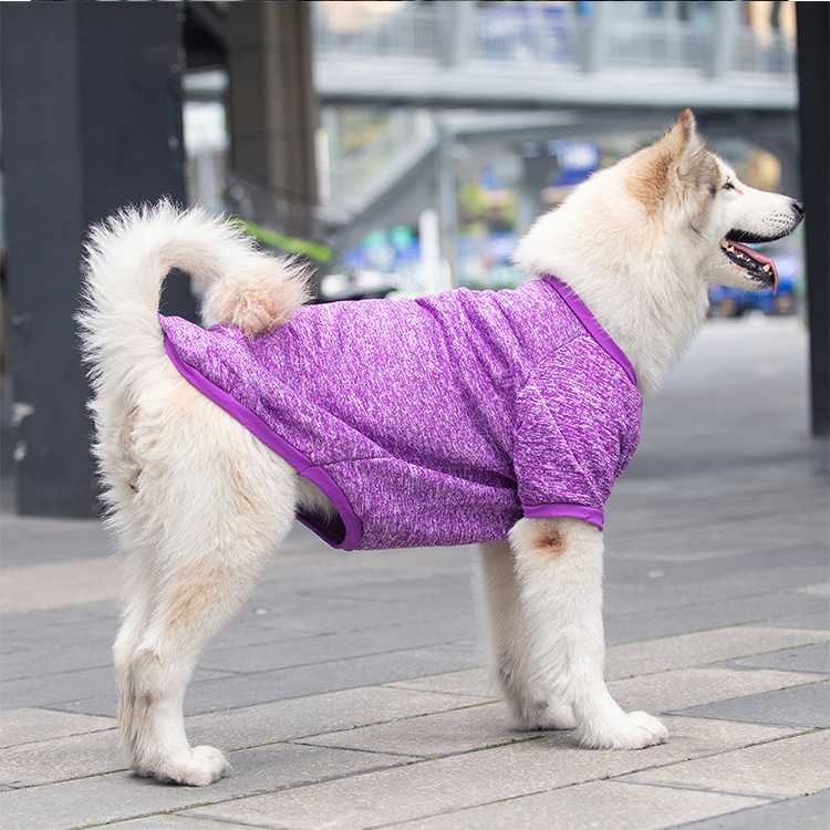 Custom Pet Clothes Four Legged Long Sleeve Dog Recovery Suit