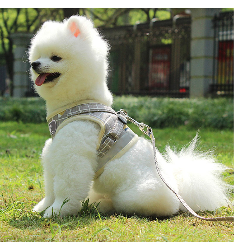 Custom Plaid Small Dog Cat Reflective Harnesses Summer Mesh Pet Harness Set