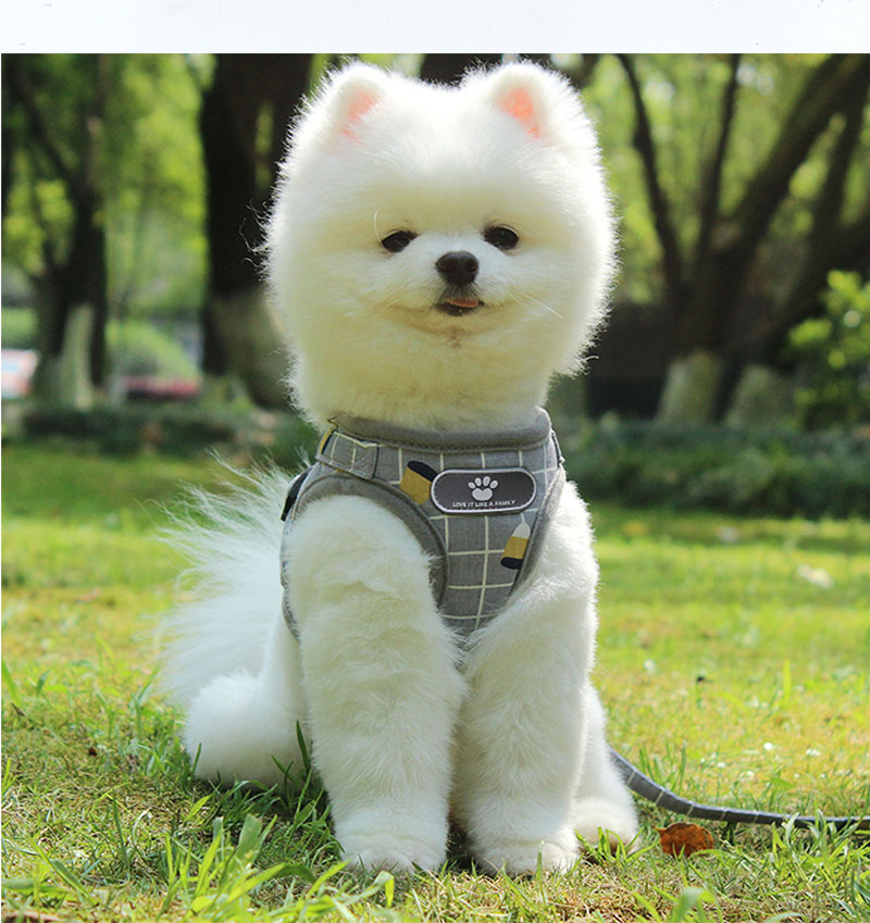 Custom Plaid Small Dog Cat Reflective Harnesses Summer Mesh Pet Harness Set