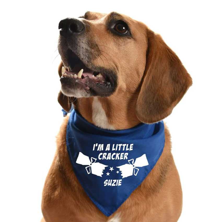 Custom Print Logo Triangle Dog Bandana