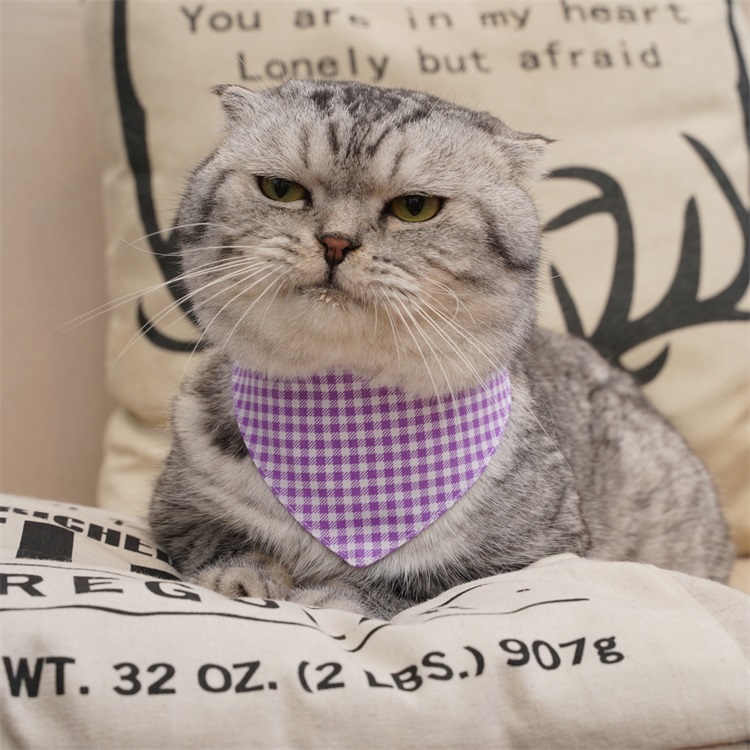Custom Printed Logo Cotton Plain Triangle Pet Cat Scarf Saliva Towel Dog Bandana