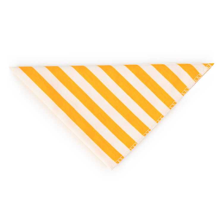 Custom Printed Pet Accessories Triangular Bandanas