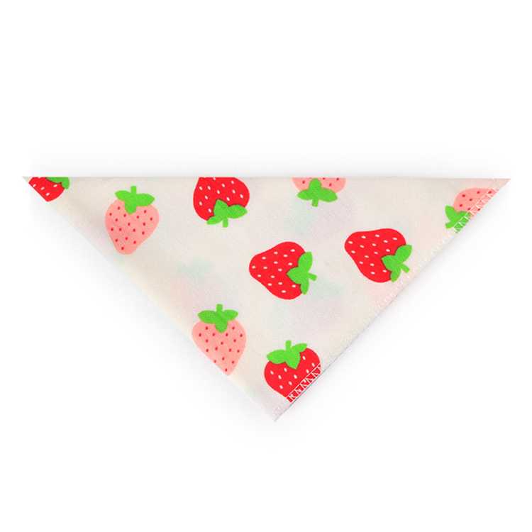 Custom Printed Pet Accessories Triangular Bandanas