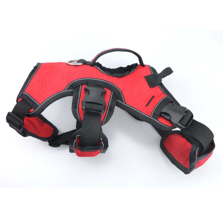 Customizable Colors Adjustable Breathable Dog Pet Harness With Reflective Nylon Dog Harness Vest Dog Training