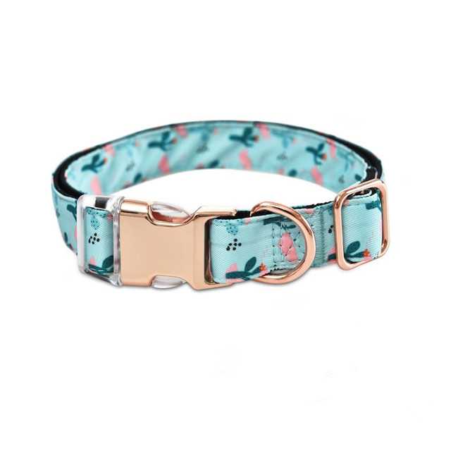 Customized Pattern Dog Collar Adjustable Collars Dogs